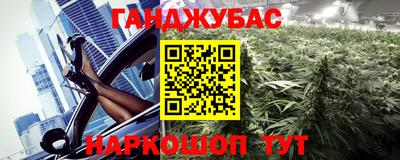 гидра Краснознаменск