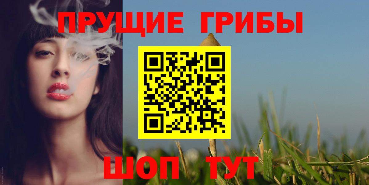 Камышин  закладка  Вход с VPN  Псилоцибиновые грибы мухоморы 